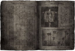 SkeweredDollsBookPicture.png
