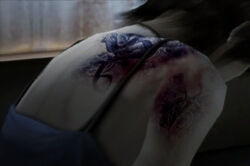 Rei Holly Tattoo curse