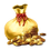 Gold Sack icon