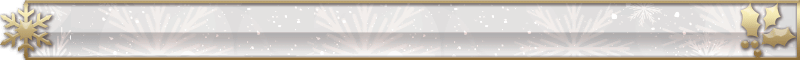 Christmas2015divider