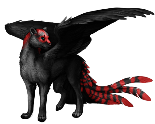 File:ChetaeRaccoon.png