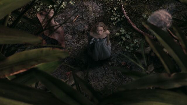 File:AliceInWonderland-2627.jpg