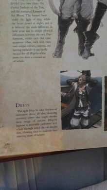 Miqo'te Lorebook03