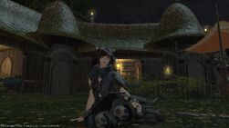 Ffxiv 12042016 194515