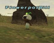 FlowerpotBill