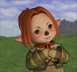 final fantasy xi character creation final fantasy xi character creation