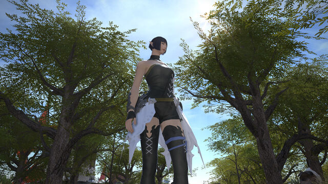 File:Elezen 005.jpg