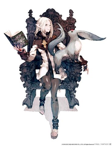 Archivo:Final-Fantasy-XIV-A-Realm-Reborn-5.jpg