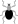 File:Aburame Clan.png