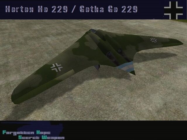 File:Gotha Go 229.jpg