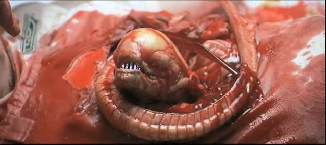 File:Chestburster.jpg