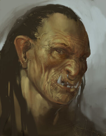 File:Orcmaleportrait.jpg