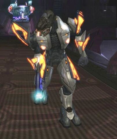 File:Honor guard Ultra.jpg