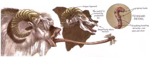File:Bantha tongue.jpg