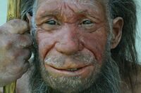 Metrusiaanse Man