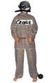 Bestand:73px-Gevangenis4.PNG