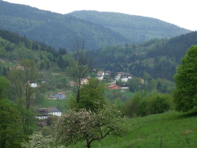 Bestand:Tr.jpg