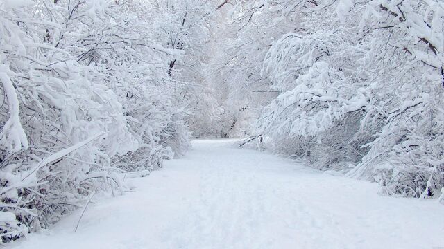 Файл:Winter-snow-wallpaper-hd 20130116 1995450712.jpg