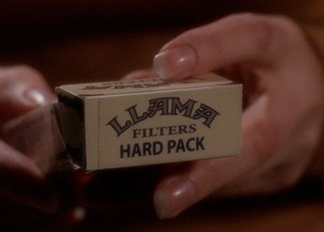 File:Llama.jpg