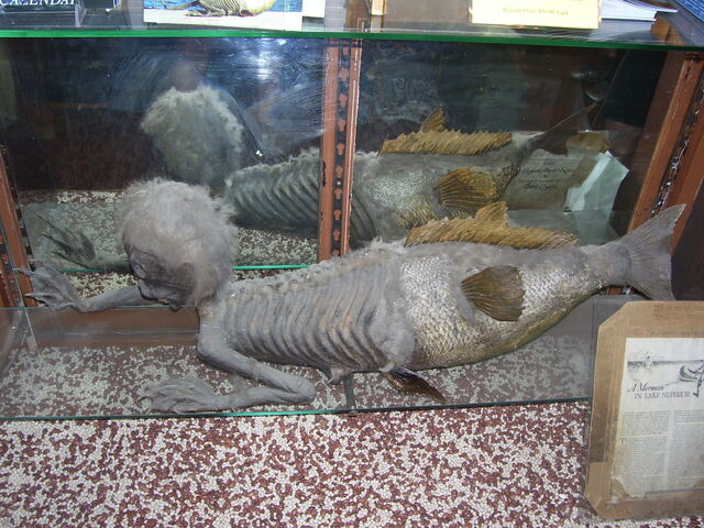 File:Banff Merman.jpg