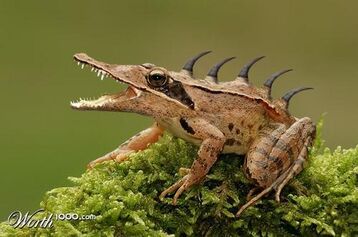 MadhumitaCAP2000-AO5-blog-25155