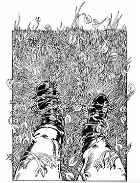 File:Crab grass.jpg