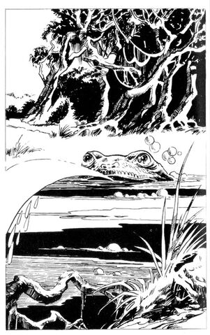 File:Spit Toad1.jpg