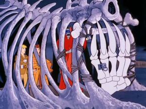 Rib-Cage