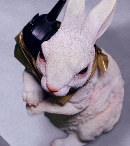 File:Reggie.png