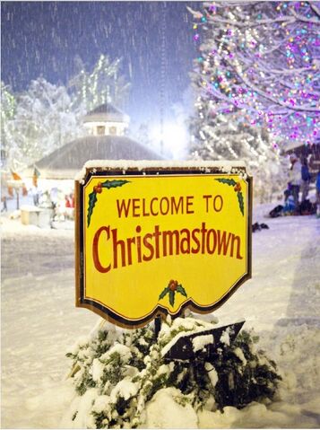 Fișier:Ira Finkelstein's Christmas weff.jpg