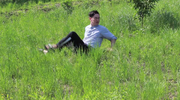 Rice fields 1