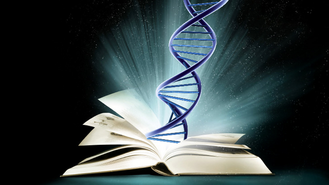File:Book of Chromosomes.png