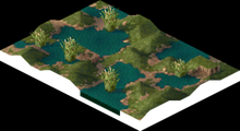 Dolbodar Swamp 1