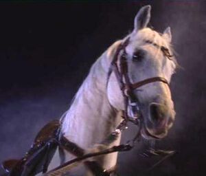 BicentennialHorse
