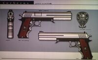 Shalua's gun.jpg