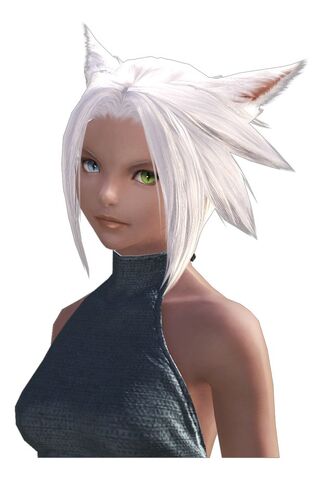 File:MiqoteSeekersoftheSun f bust.jpg