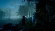 Young Noctis