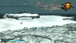 FFT0 Veill Desolands