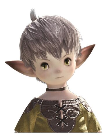 File:LalafellPlainsfolk m bust.jpg