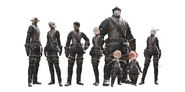 File:FFXIVPCRaces.jpg