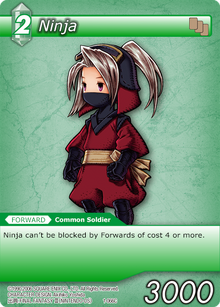 Ninja 2