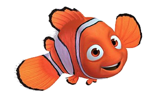  Gambar Ikan Memo Walls Zee