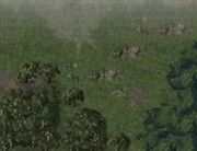 Terrain