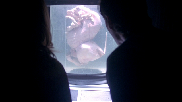 File:DeadBessie-TheMessage.png