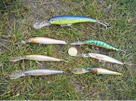 Глибоководні Minnow