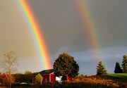Rainbow.jpg