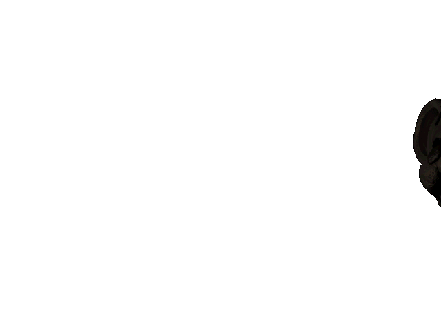 File:Jumpscare Rat 2 (1).gif