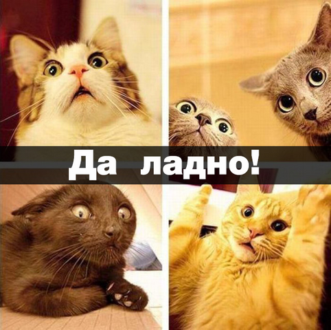 Файл:Да ладно!.png