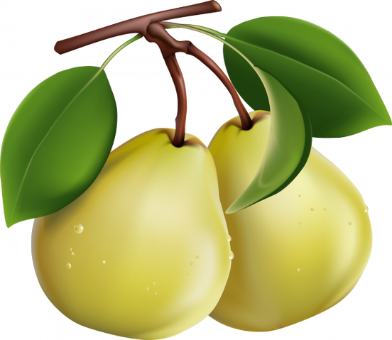 Файл:Grusha-600x521.png