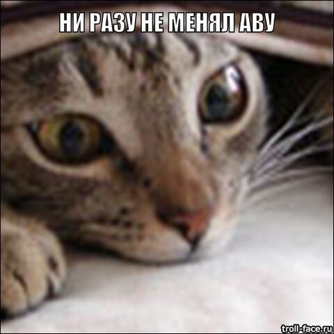 Файл:783b069c33a9524b9932d19a4ea6dcee.jpg